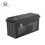 LVTOPSUN 25.6V 100AH Lithium Battery - Image 2